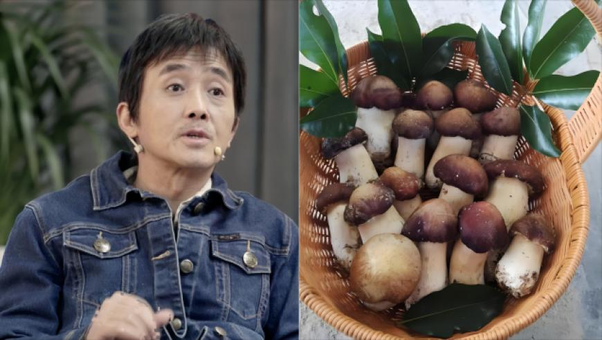 舟山无人岛日薪300元招聘守岛人,2025澳门免费资料,确保成语解释落实的问题_增强版V3.54