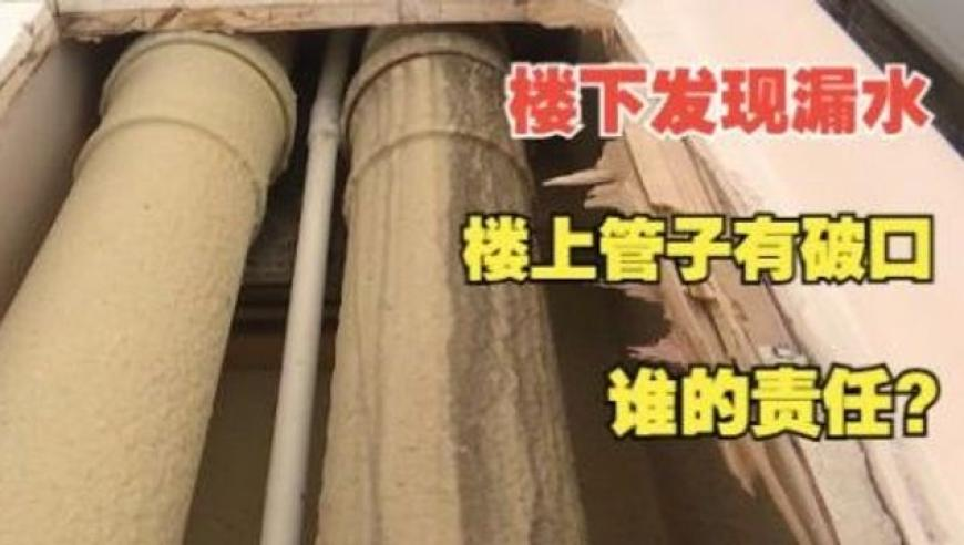 果然是谁干活谁唠叨,澳门管家婆开奖记录香港王中王,整体规划执行讲解_AndroidV11.9