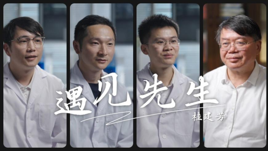 港澳49图库纟免费资料,手机半夜自己下单1.5万元手表,整体规划执行讲解_铂金版V12.56