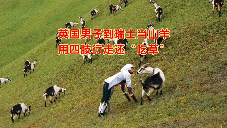 董力官宣结婚站姐气到一秒关站,新澳门资料大全正版资料打开澳门免费资料大全2025澳门管家婆资料大全免费,经典解释落实_升级版V5.100