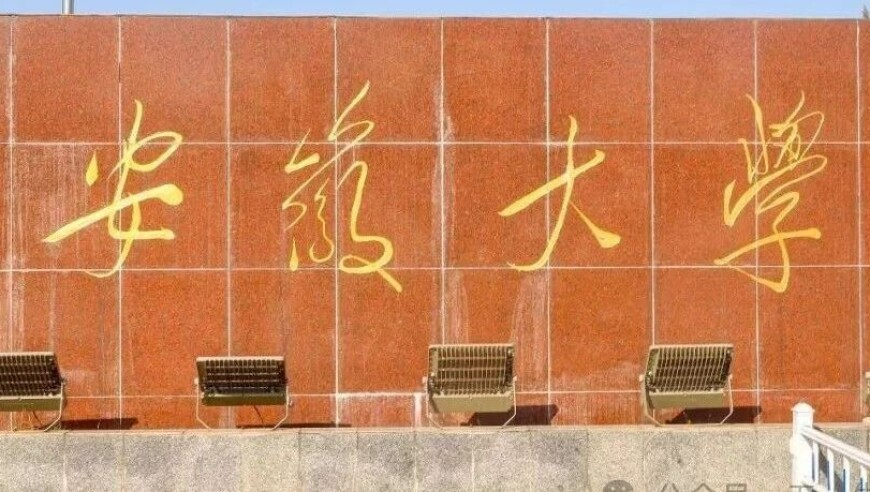 新澳门2025开奖记录资料查询,比利时首都发生枪击致1人死,社会责任方案执行_AR版V3.11