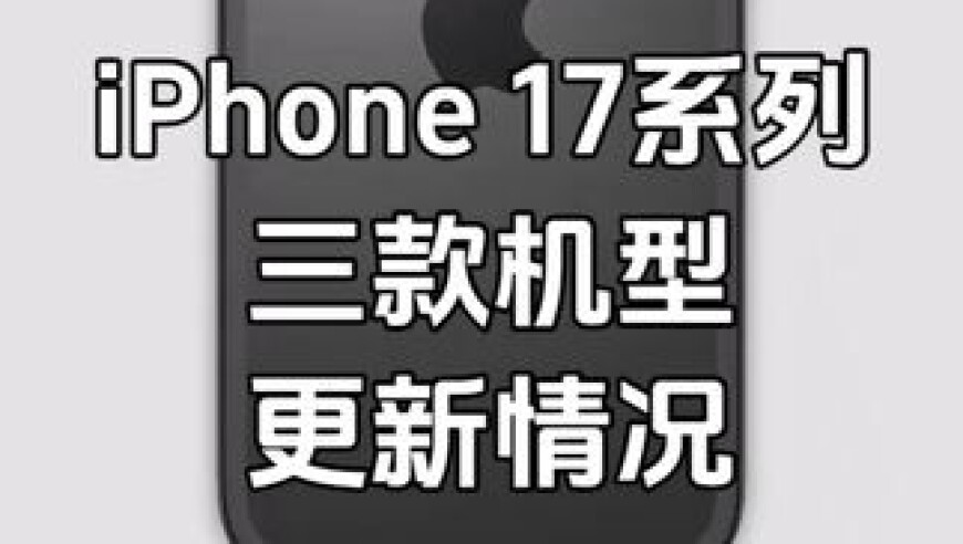 新澳门2025年正版免费资料,“刀小刀”拖欠赔偿金400多万,权威独家讨论与热门话题_工具版V11.88