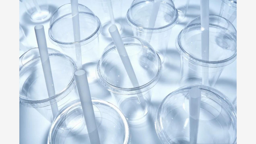 新澳2025年精准一肖一码新网澳门资料,四川发现新物种“眉山报春”,经典解释落实_储蓄版V9.70